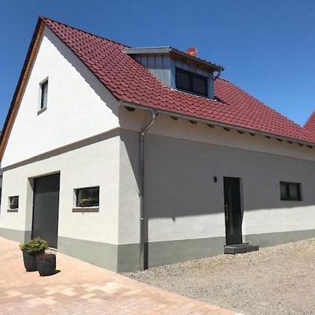 Appartamento Fewo Stubenhocker Pleisweiler-Oberhofen Esterno foto