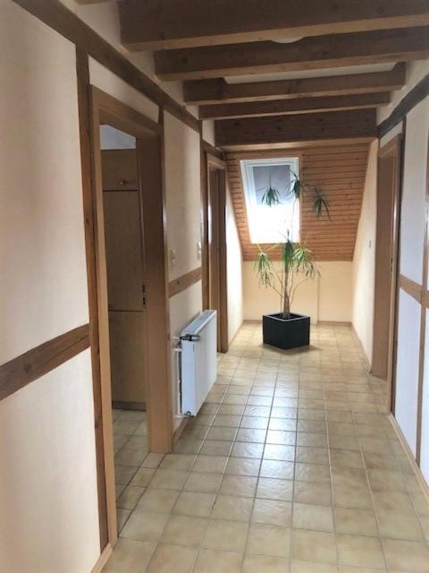 Appartamento Fewo Stubenhocker Pleisweiler-Oberhofen Esterno foto