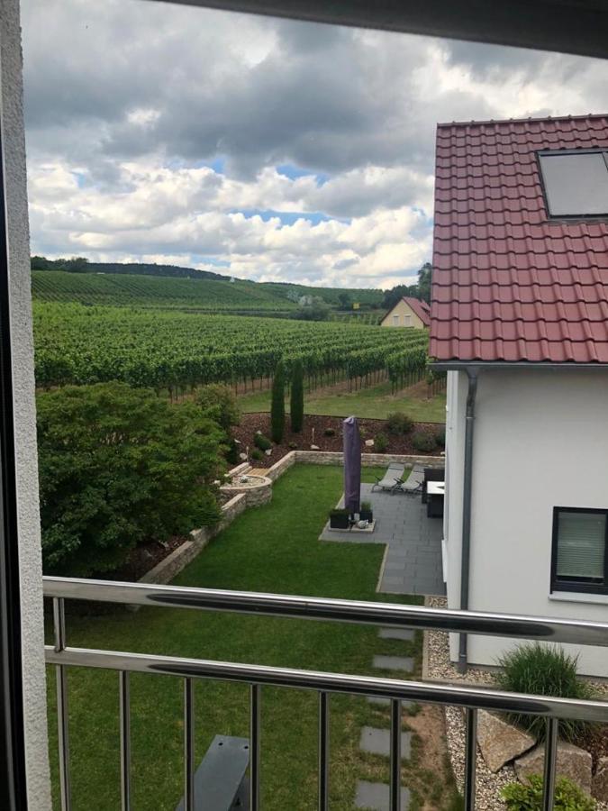Appartamento Fewo Stubenhocker Pleisweiler-Oberhofen Esterno foto